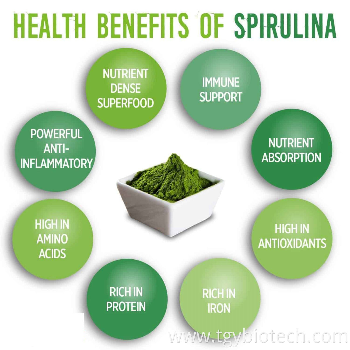 Spirulina Powder Price